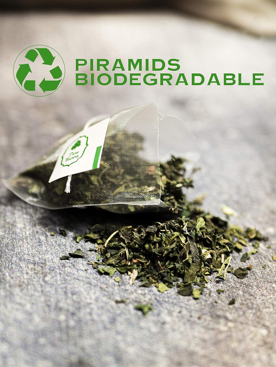 Organic Nettle Leaf Tea – Mineral-Rich Support for Hair & Scalp Wellness (15 Pyramid Bags)