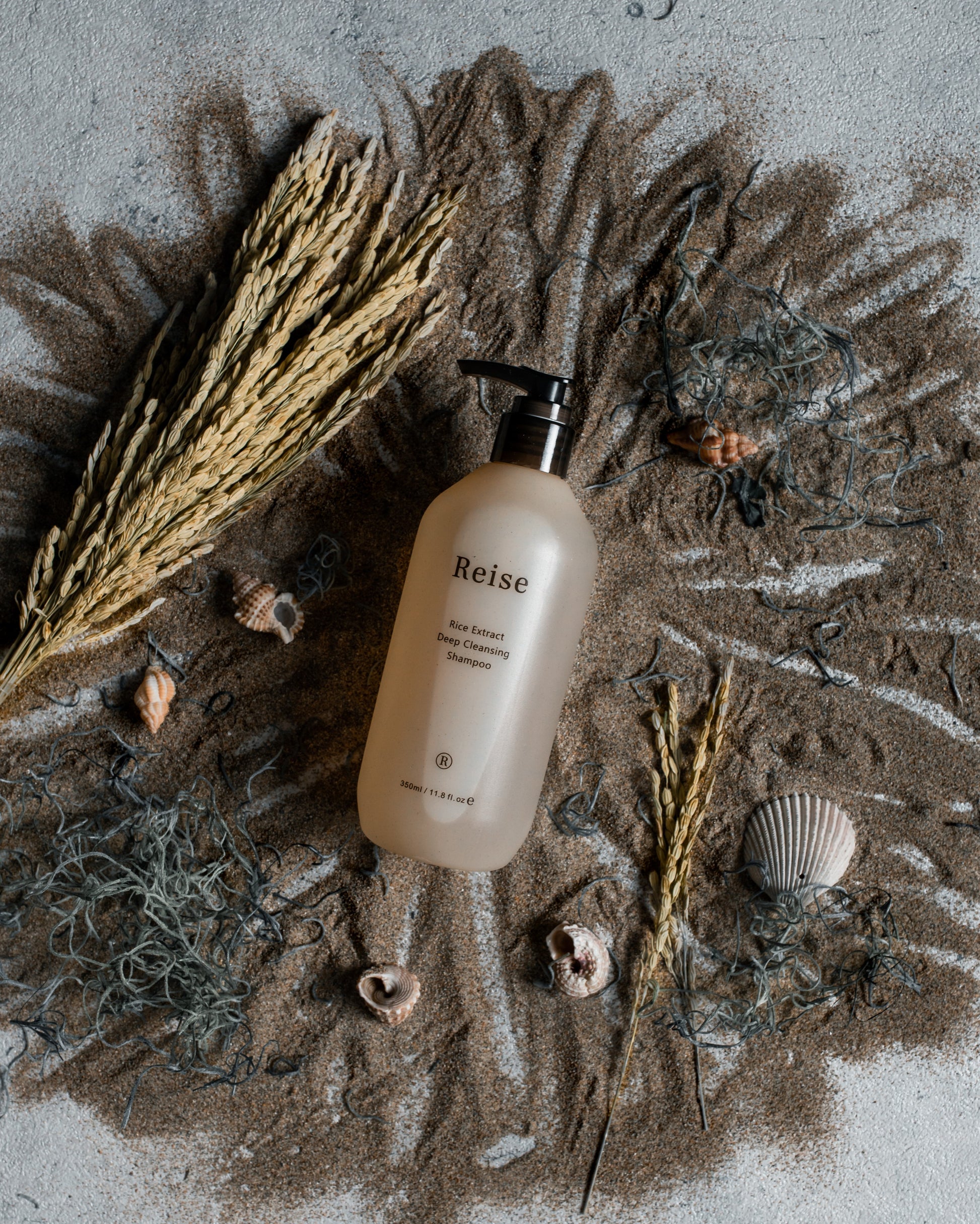 Reise haircare bottle on a textured surface with dried plants and shells